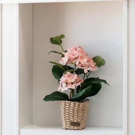 White Elegance With Ac & Parking Garage By Renters